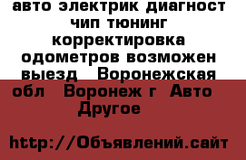 авто-электрик диагност чип тюнинг корректировка одометров возможен выезд - Воронежская обл., Воронеж г. Авто » Другое   